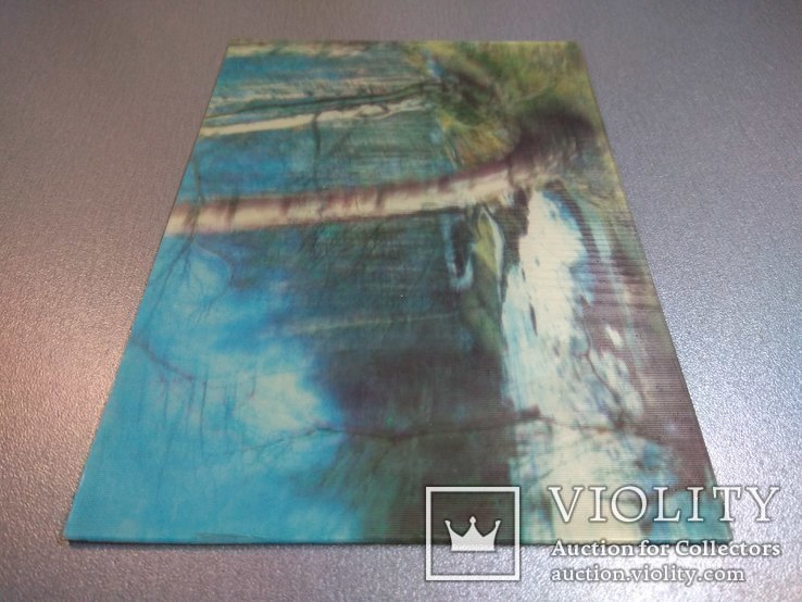 Объемная открытка стереофото Весенний лес, фото №3
