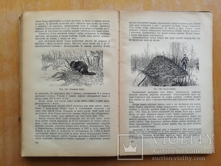 Учебник Зоология для 6-7 кл. на украинском 1950, фото №8