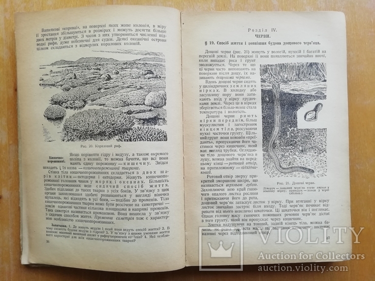 Учебник Зоология для 6-7 кл. на украинском 1950, фото №9