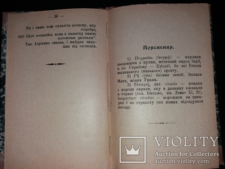 1903 Гомерова Ілїяда. Петро Байда(Ніщинський) (наклад 1000 прим.), фото №6