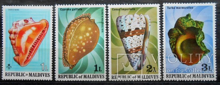 1967 г. Мальдивы. Фауна. Моллюски. (**), фото №2