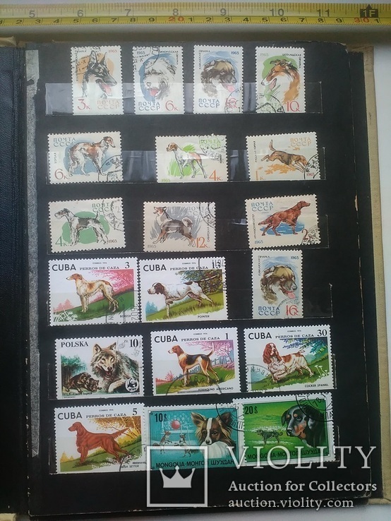 Подборка марок и блоков на тему собачих