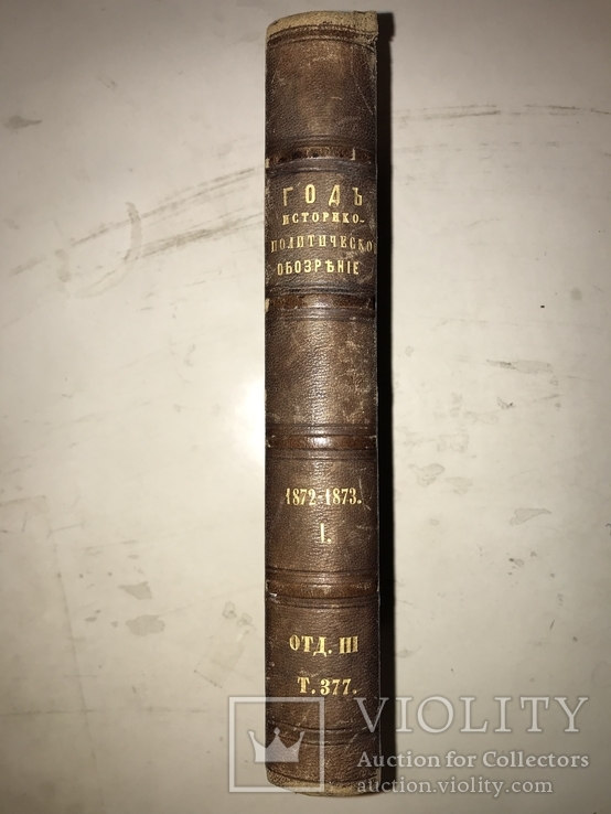 1873 История и Политике Год, фото №2