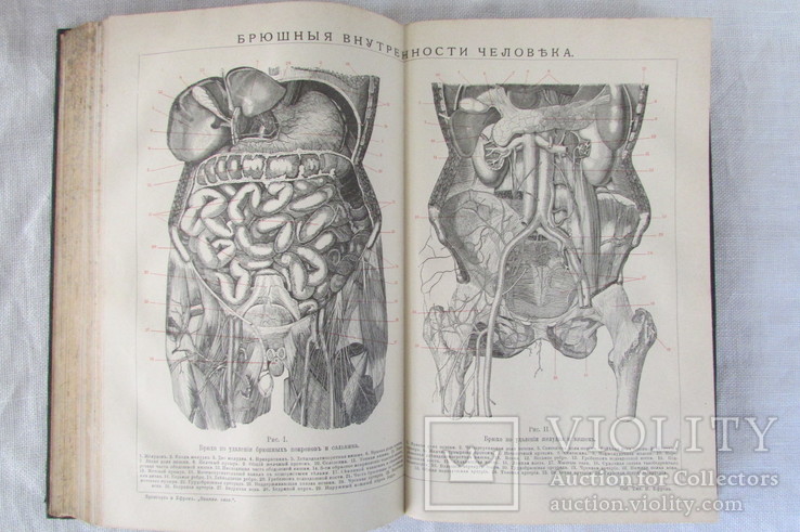 Энциклопедический словарь Том 4а, фото №11