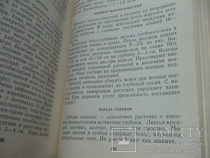 Лкьяненко "Советы огороднику приднепровья" 1985р., фото №6