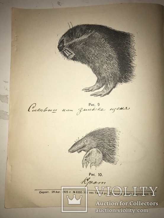 1925 Каталог Крыс Мышей всего 300 тираж, фото №3