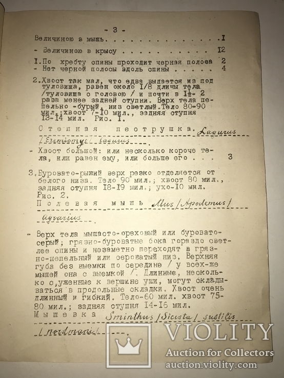 1925 Каталог Крыс Мышей всего 300 тираж, фото №6