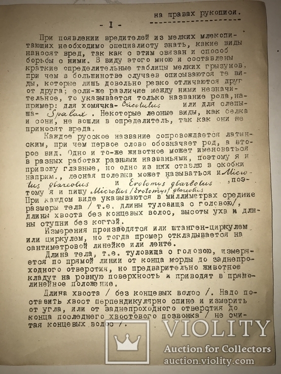 1925 Каталог Крыс Мышей всего 300 тираж, фото №7