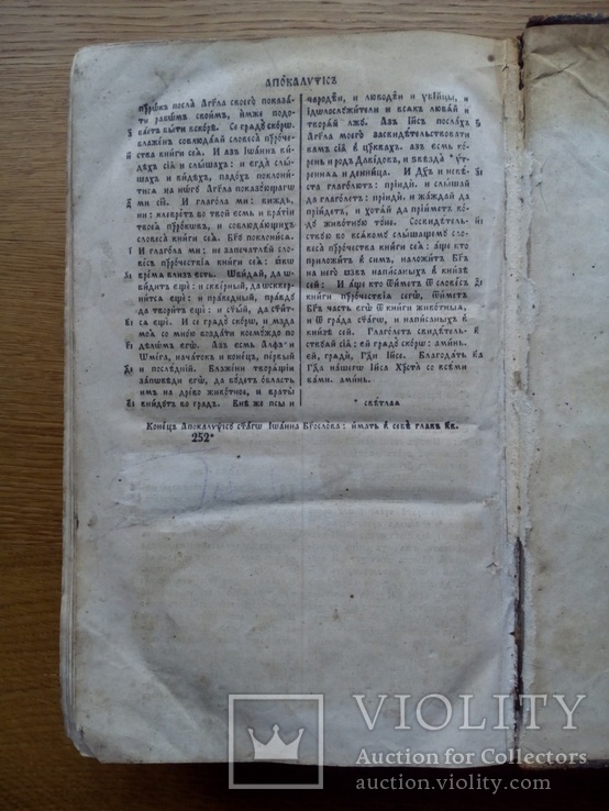 Большая Старинная Библия 1859 г., фото №12
