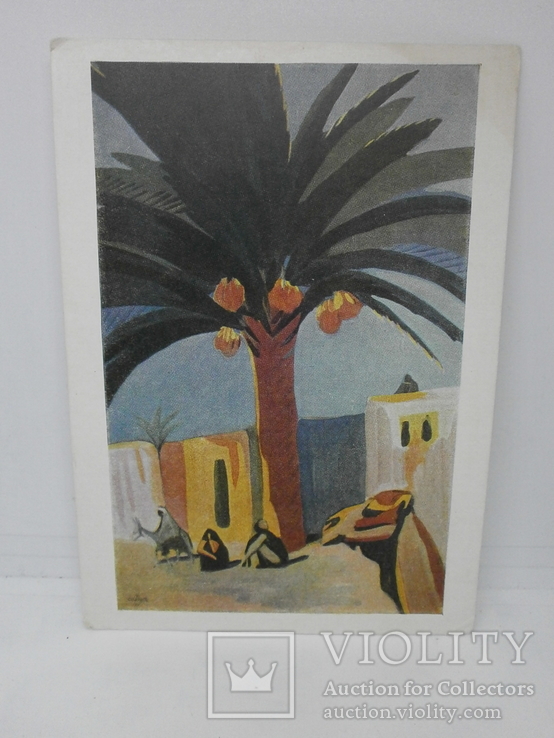 Открытка 1957 худ Сарьян. Финиковая пальма. Египет 1911, фото №2