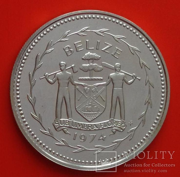 Белиз 50 центов 1974 серебро 925 Птицы, фото №3