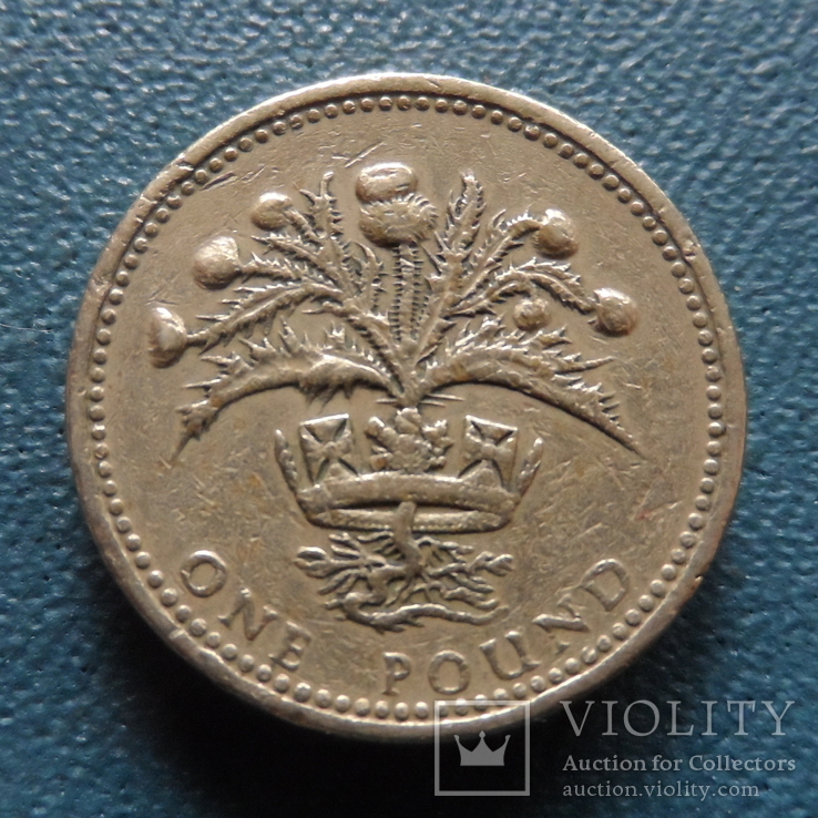 1 фунт 1989   Великобритания   (5.7.2)~, фото №4
