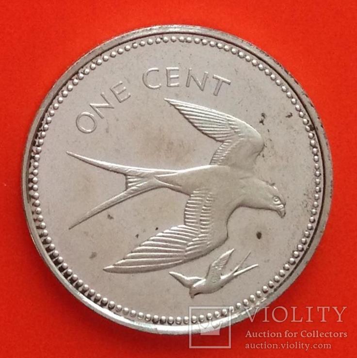 Белиз 1 цент 1974 серебро 925 Птицы, фото №2