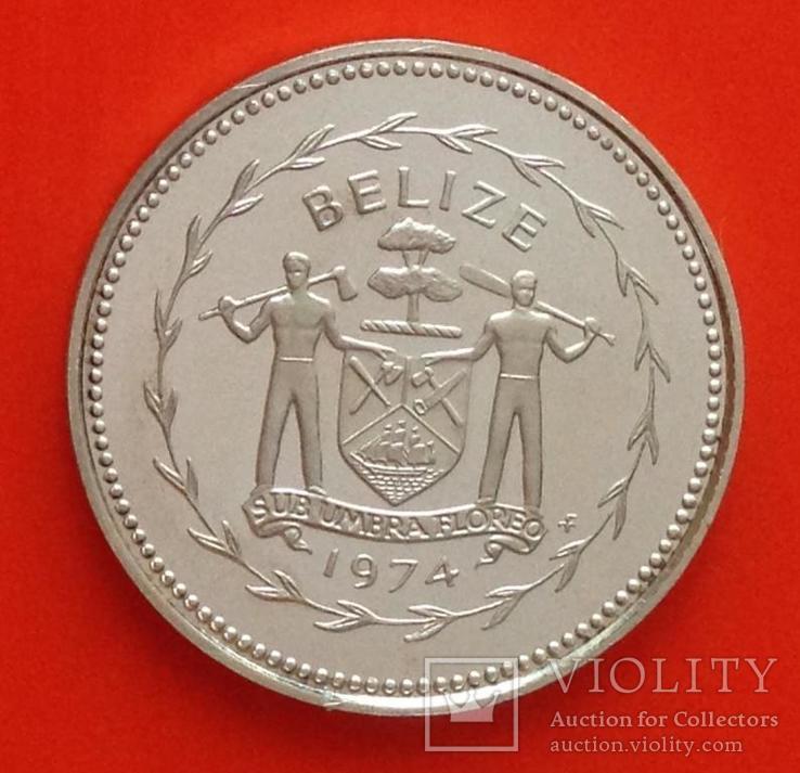 Белиз 1 цент 1974 серебро 925 Птицы, фото №3