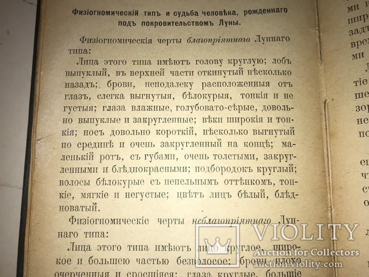 1903 Гадание по лицу Физиогномика, фото №7