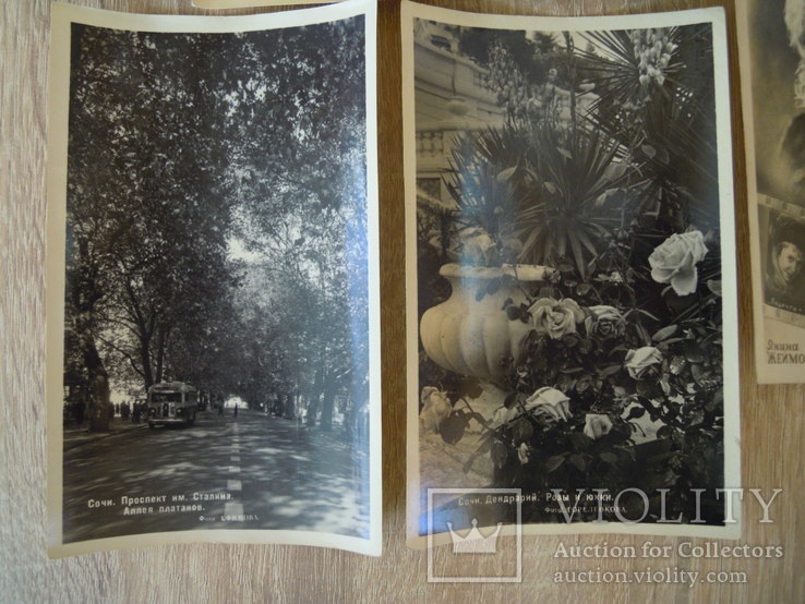 Поштові листівки. Фотолистівки. 1951-52 роки, фото №4