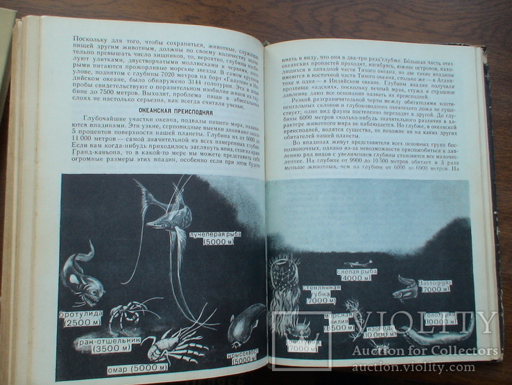 Уильям Кроми "Обитатели бездны" 1971р., фото №6