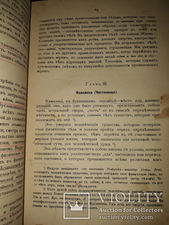 1913 Древння Мудрость, фото №5