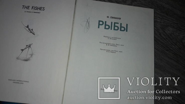 Рыбы Ф. Оммани 1975г., фото №3