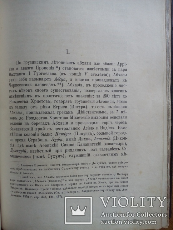 Абхазия 1898г. С иллюстрациями и картой, фото №7