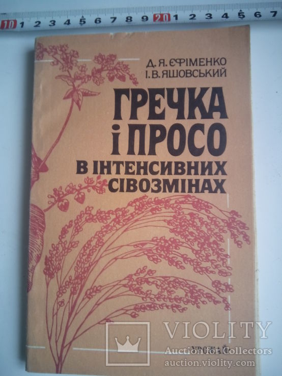 Гречка і просо в інтенсивних сівозмінах тир 4000, фото №2