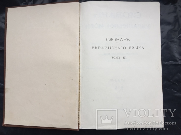 Словарь Української мови., фото №3