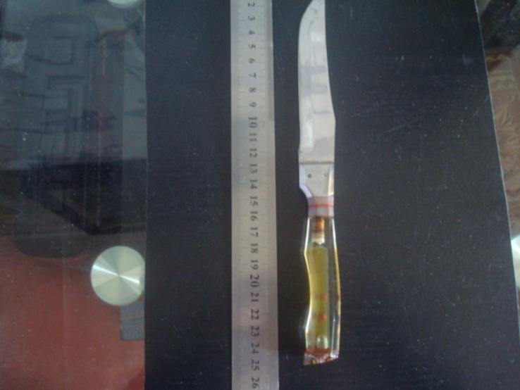 Столовый сувенирный нож СССР аквариум,тюльпаны, фото №5