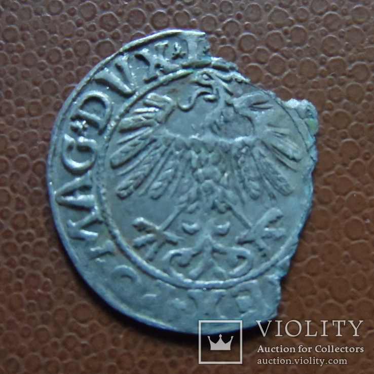 Полугрош 1558   серебро   (М.4.31)~, фото №3