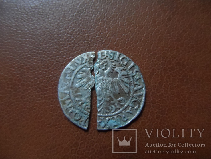 Полугрош 1559  серебро (М.3.44)~, фото №6