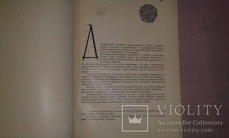 Цветоводство. 1964 рік., фото №7