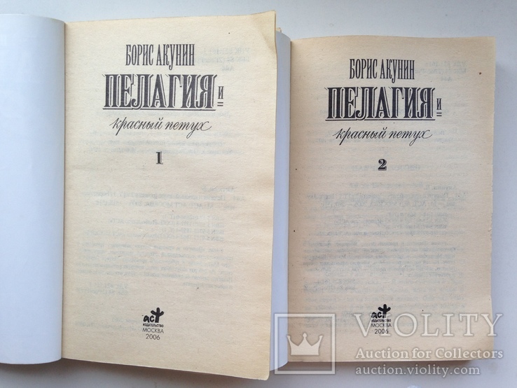 Борис Акунин  Пелагея и красный петух Роман в 2 томах  2006 г., фото №3