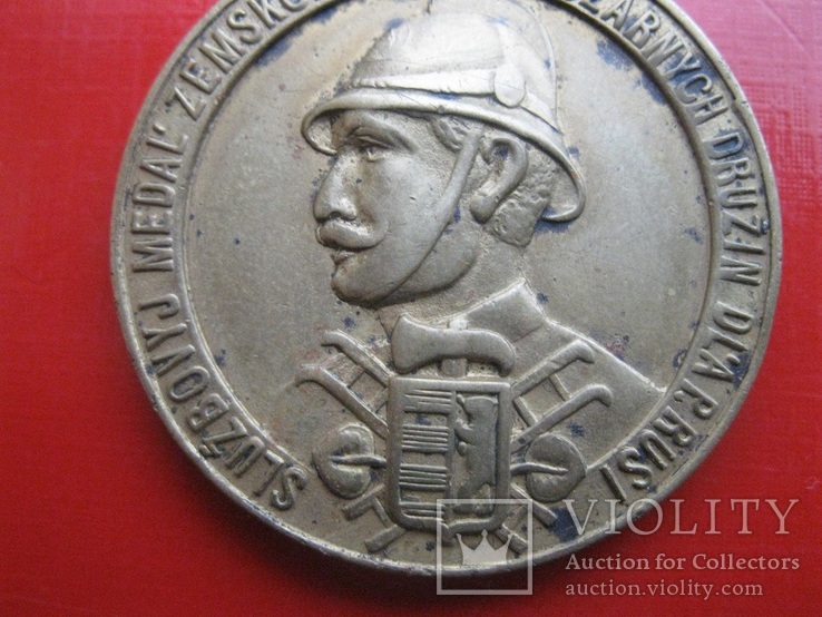 Служебная  медаль.Чехословакия,Подкарпатская  Русь (Закарпатье), фото №3