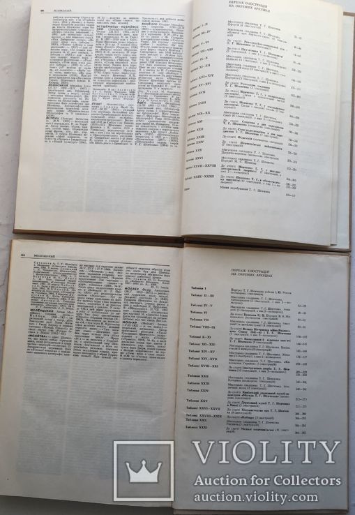 Шевченківський словник. У двох томах. К., 1976., 1978., фото №4