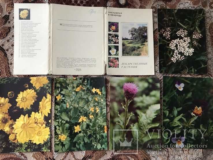 Набір листівок Екскурсія на природу (лікарські рослини), фото №2