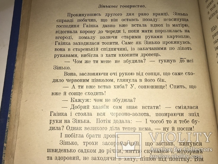 1928 Українська Повість Б.Грінченко Під Тихими Вербами, фото №7