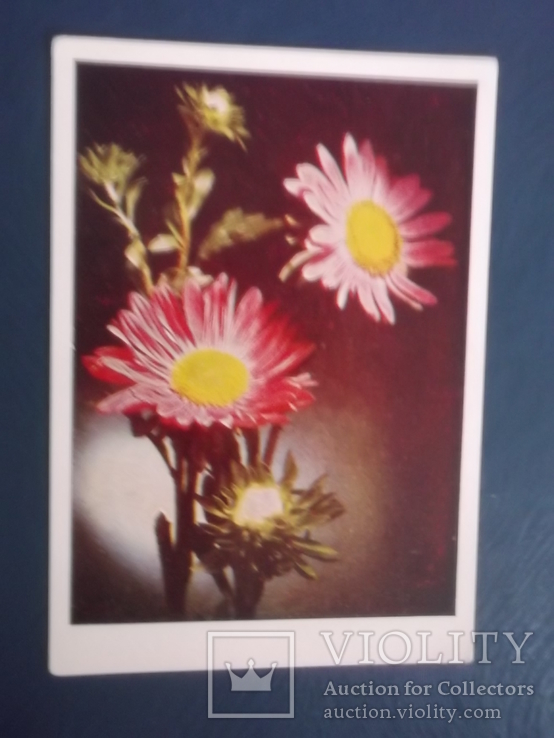 Цветы.4 открытки., фото №2
