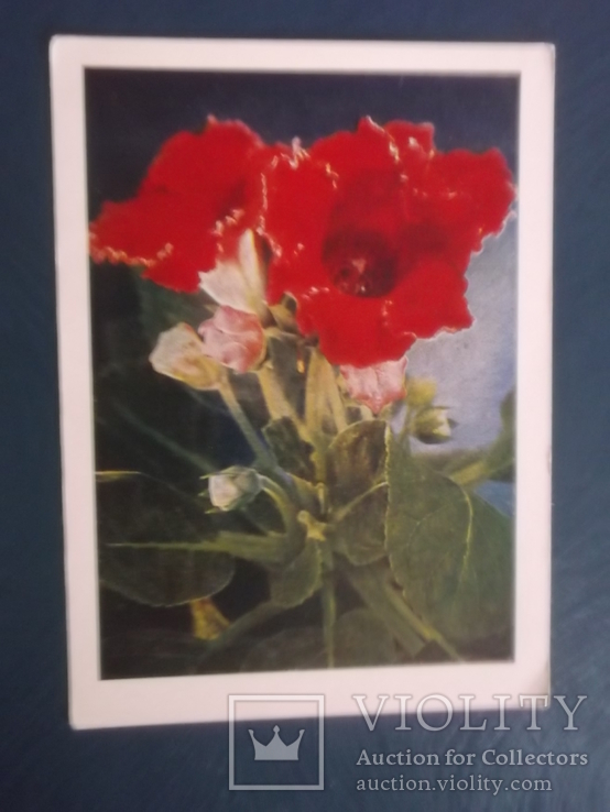 Цветы.4 открытки., фото №6