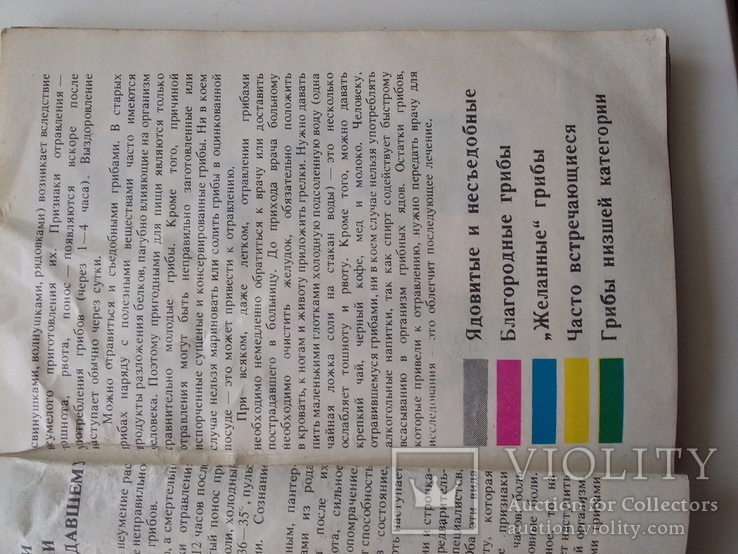 Справочник грибника 1990р., фото №5