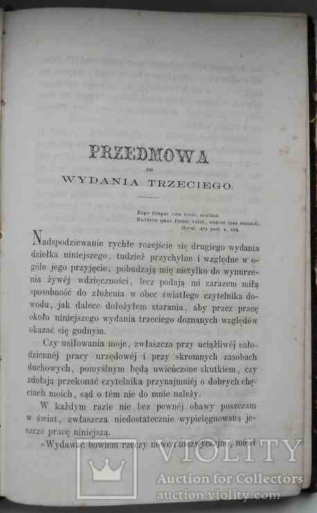 Prozaika czyli stylistyka prozy. Rymarkiewicz J. 1868, фото №3