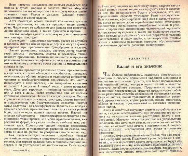 Мед и другие естественные продукты.1991 г., фото №8