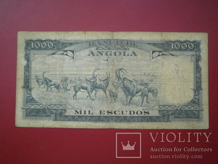 Ангола 1962 рік 1000 ескудос., фото №2