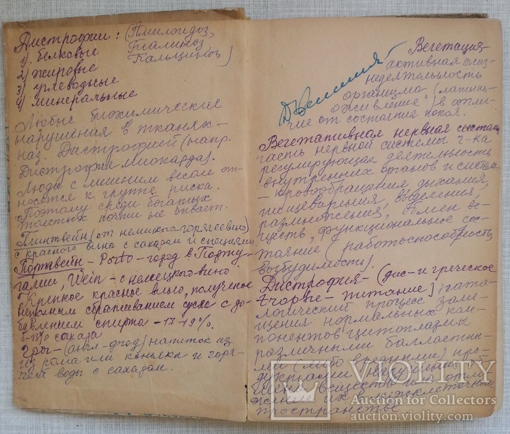 Лікарські рослини і способи їх застосування в народі 1958, фото №3