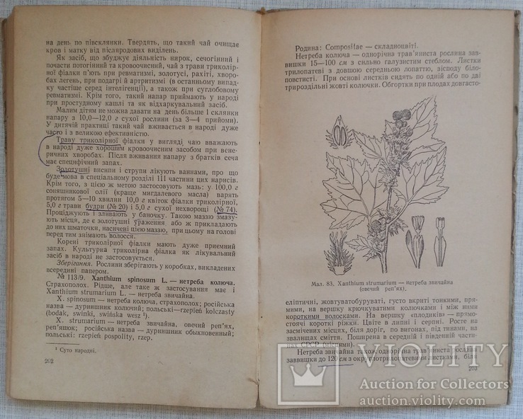 Лікарські рослини і способи їх застосування в народі 1958, фото №6