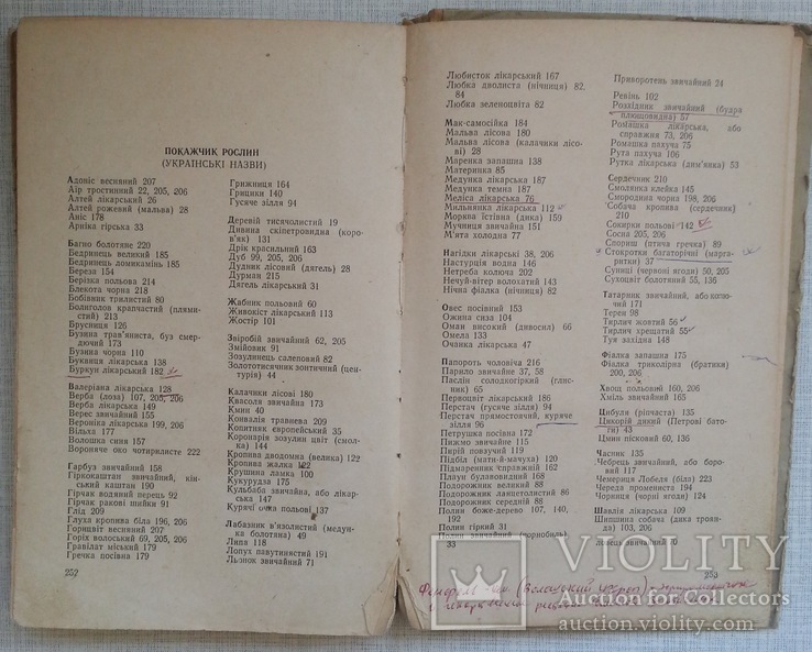 Лікарські рослини і способи їх застосування в народі 1958, фото №7