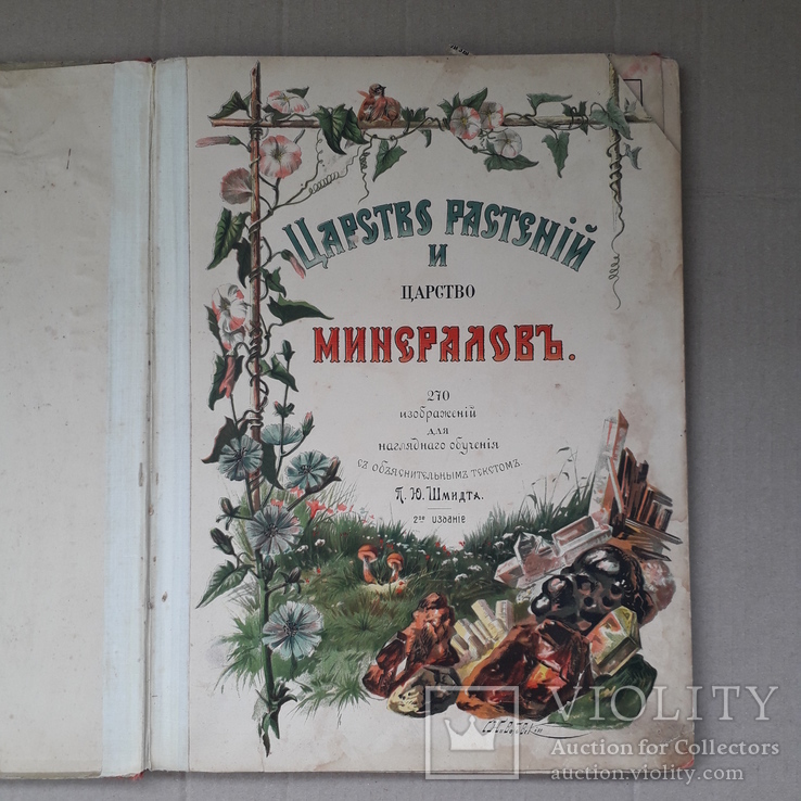 1905 г. огромная цветная худ. С.В.Животовский - Киев "Царство растений и минералов", фото №2