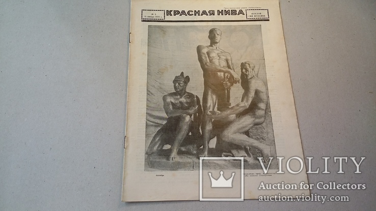 Красная нива № 3 за 1928 год (0061)