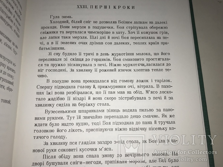 1974 Попід Кисерами та над потоком Українська Бібліотека, фото №9