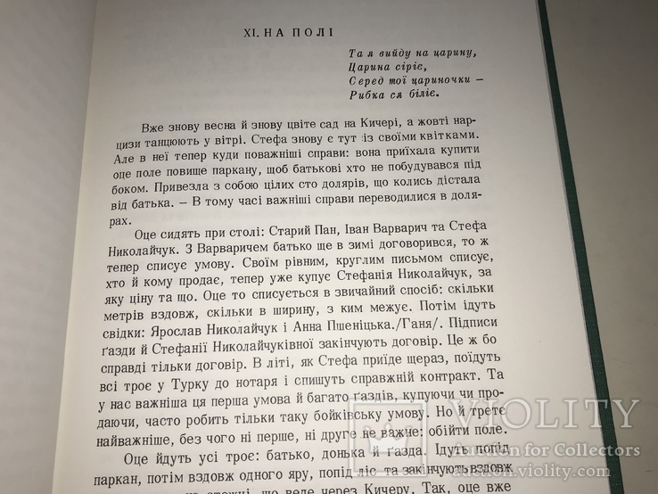 1974 Попід Кисерами та над потоком Українська Бібліотека, фото №10