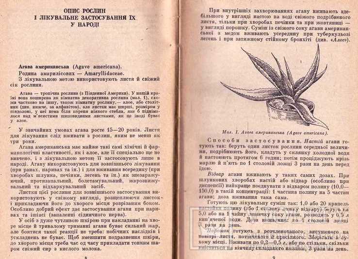 Лікарські рослини в народній медицині.1971 р, фото №7