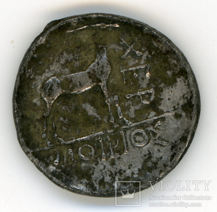 Херсонес-драхма Серебро 110-120 г до н. э, фото №3